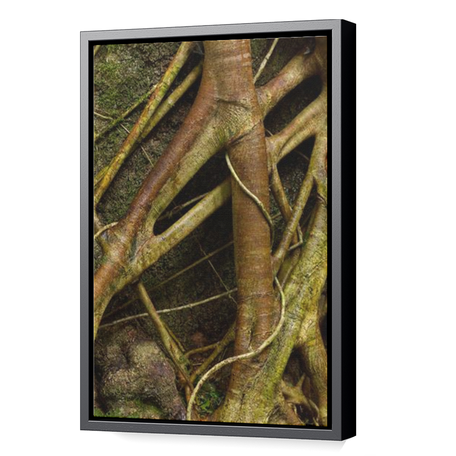 Thumbnail for Canvas - Black Floating Frame