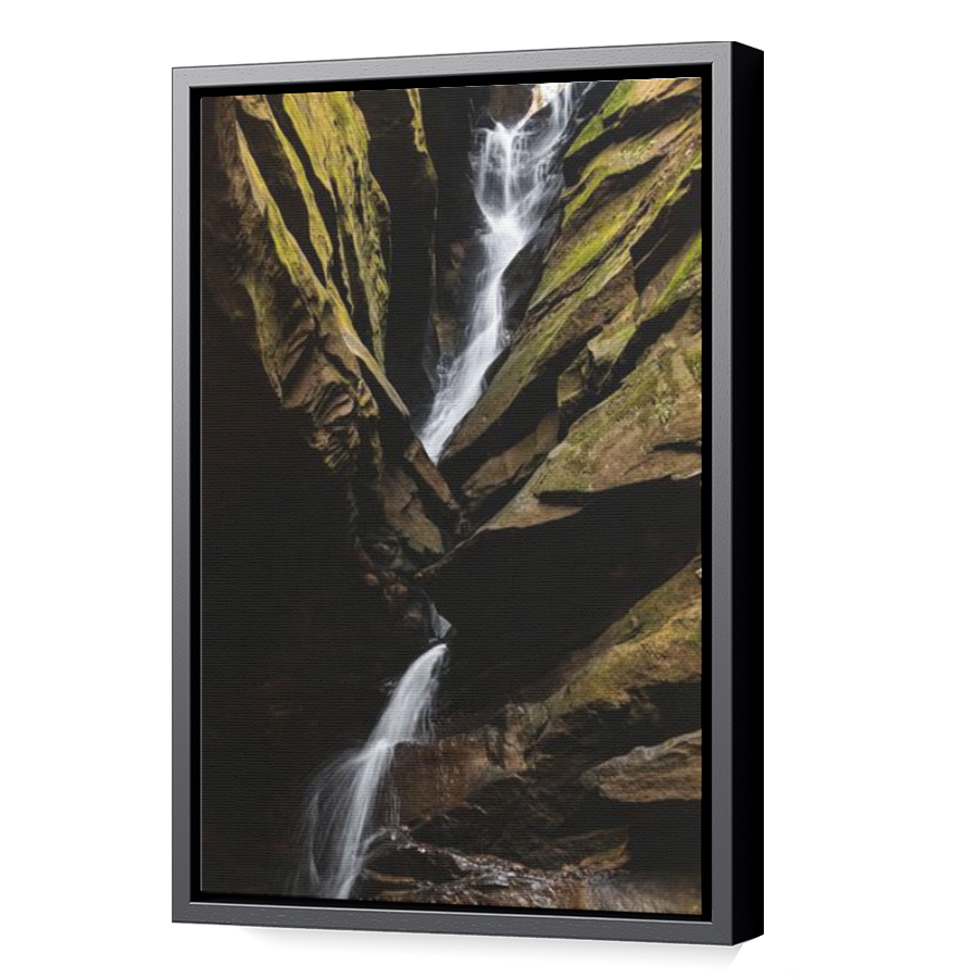Thumbnail for Canvas - Black Floating Frame