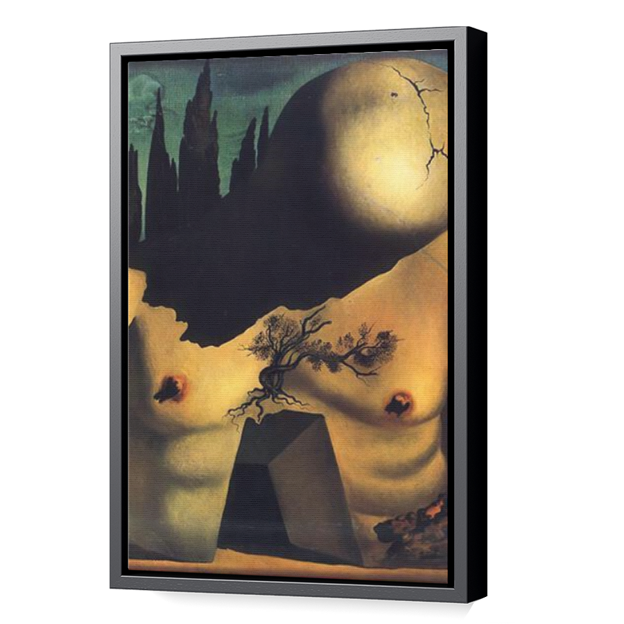 Thumbnail for Canvas - Black Floating Frame