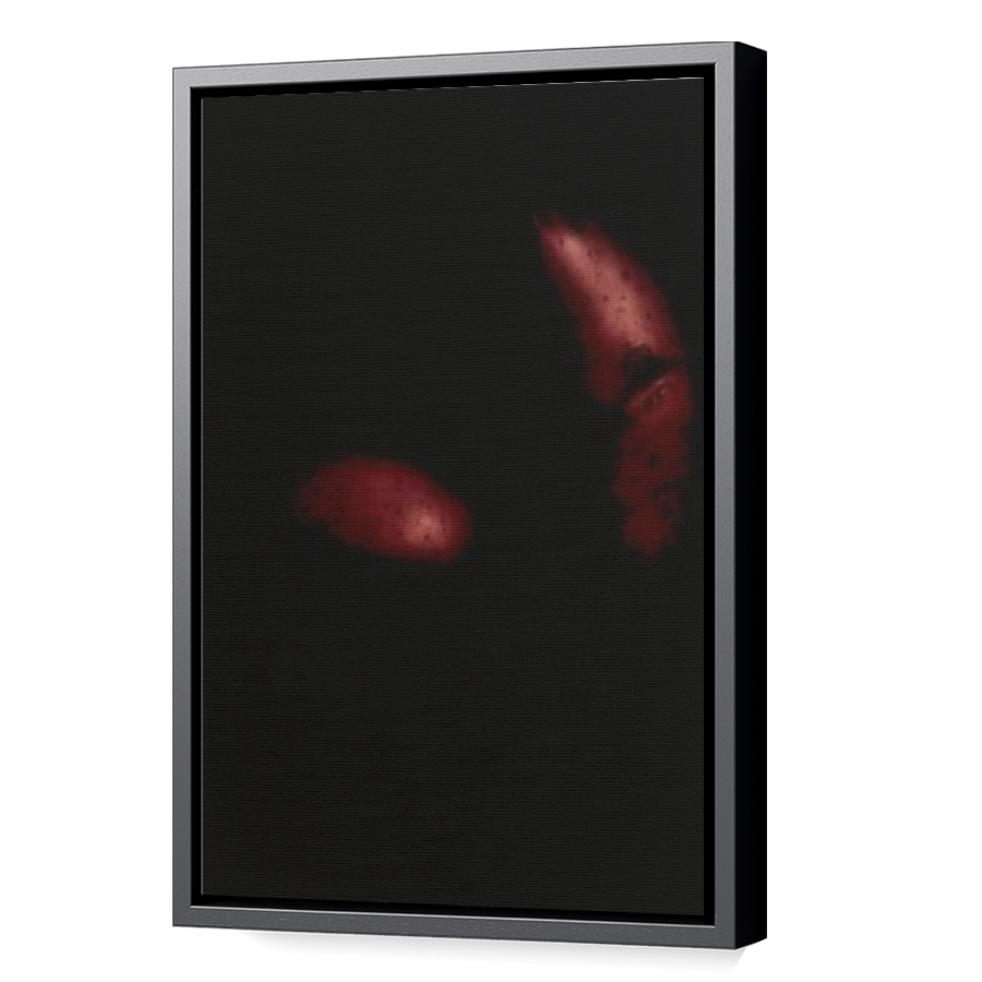 Thumbnail for Canvas - Black Floating Frame