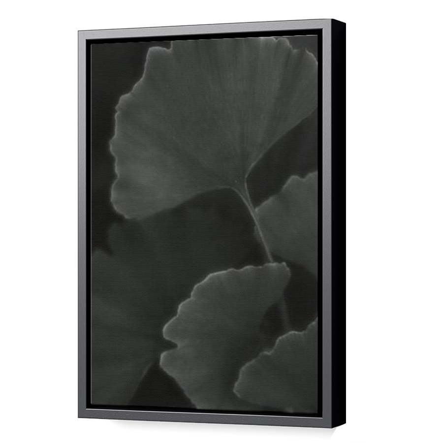 Thumbnail for Canvas - Black Floating Frame