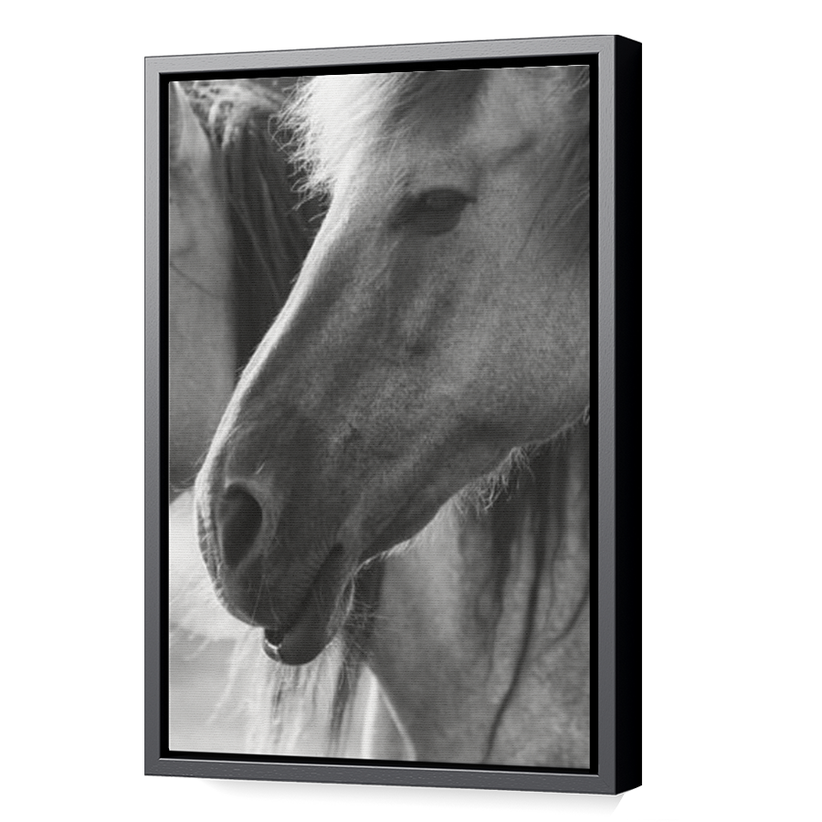 Thumbnail for Canvas - Black Floating Frame