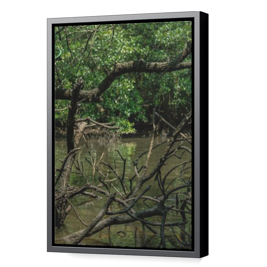 Thumbnail for Canvas - Black Floating Frame