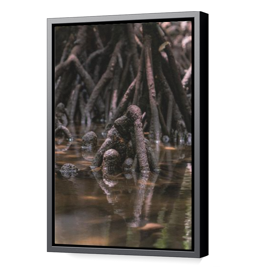 Thumbnail for Canvas - Black Floating Frame