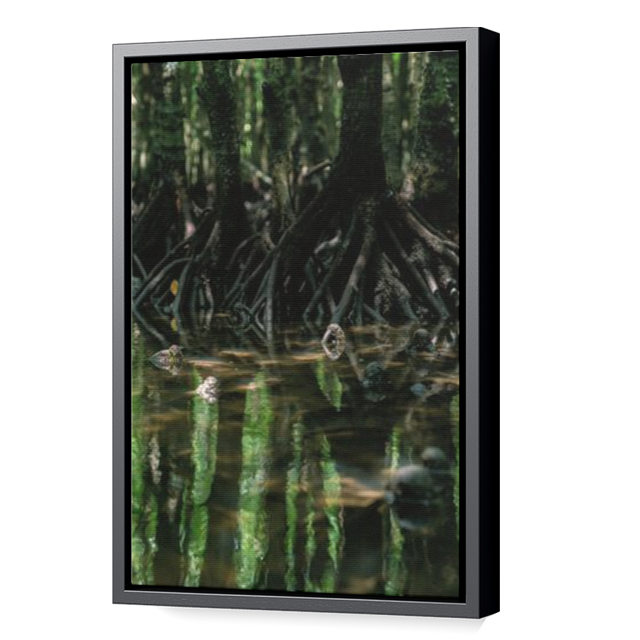 Thumbnail for Canvas - Black Floating Frame