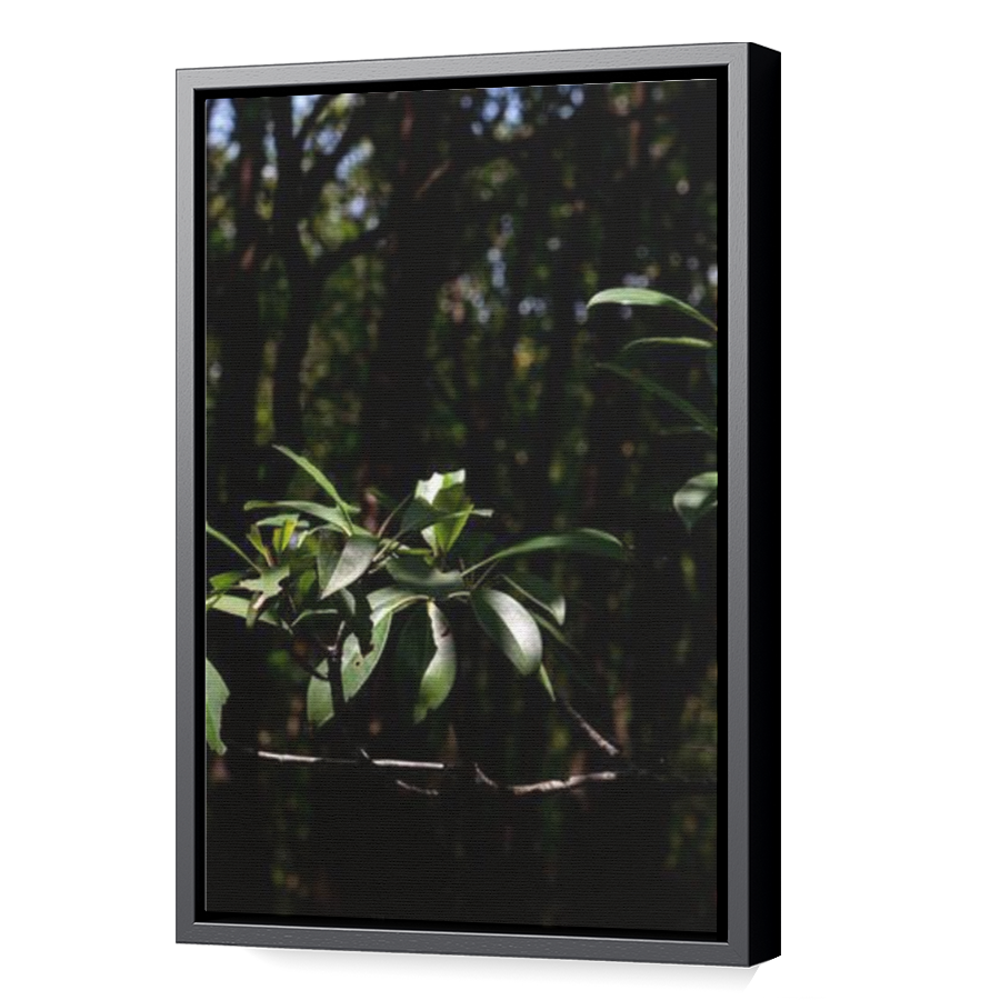 Thumbnail for Canvas - Black Floating Frame