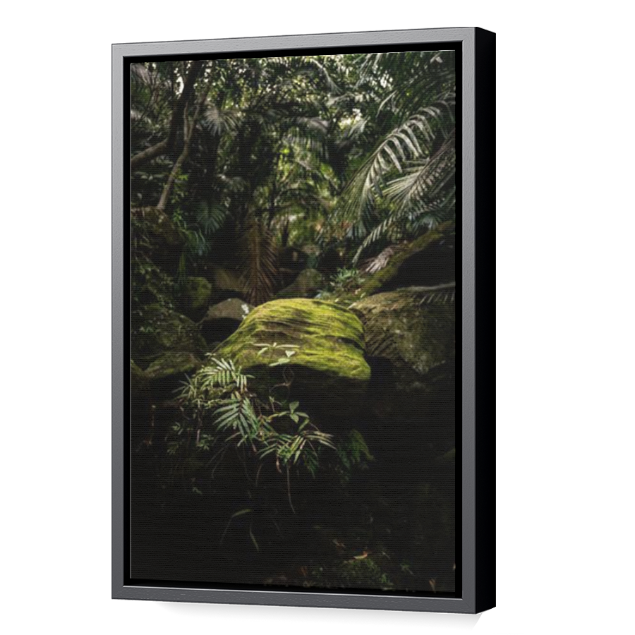 Thumbnail for Canvas - Black Floating Frame