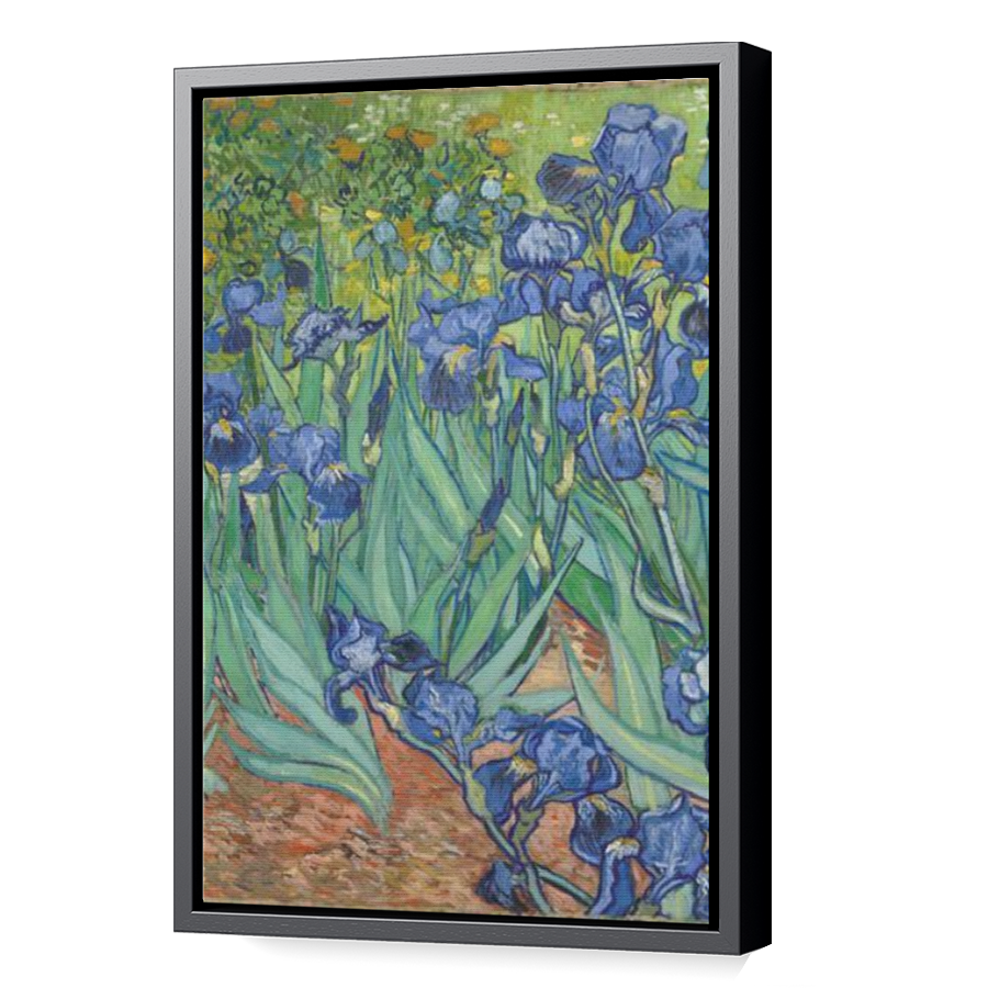 Thumbnail for Canvas - Black Floating Frame