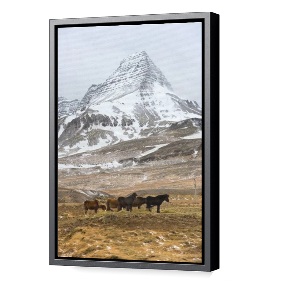 Thumbnail for Canvas - Black Floating Frame