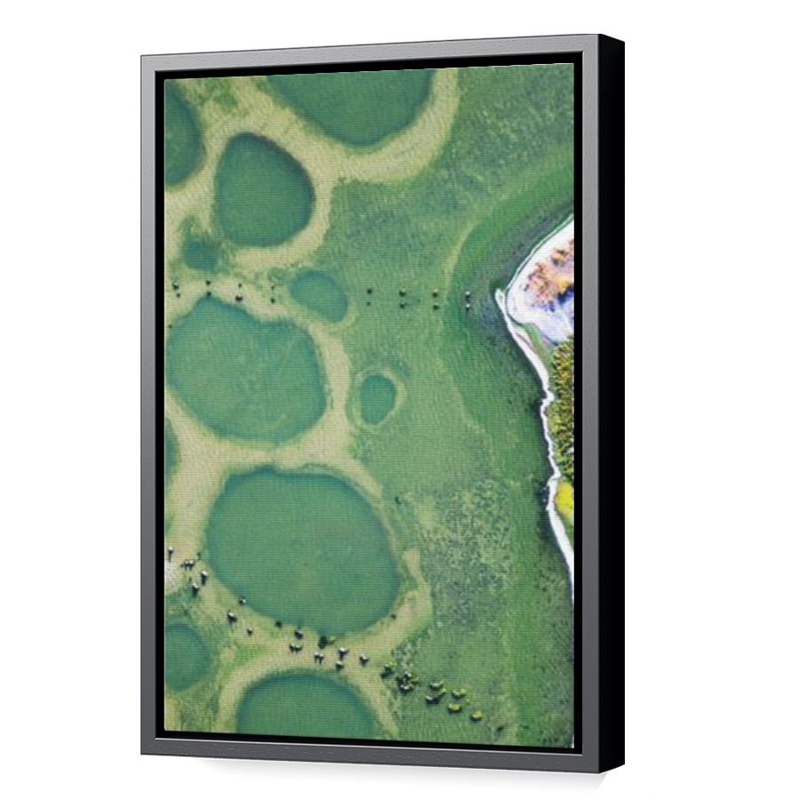 Thumbnail for Canvas - Black Floating Frame