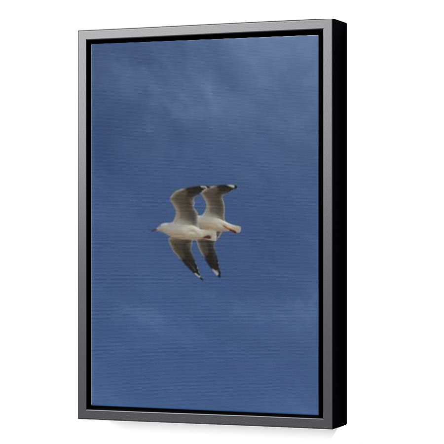 Thumbnail for Canvas - Black Floating Frame