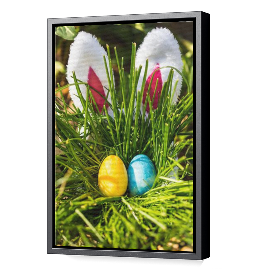 Thumbnail for Canvas - Black Floating Frame
