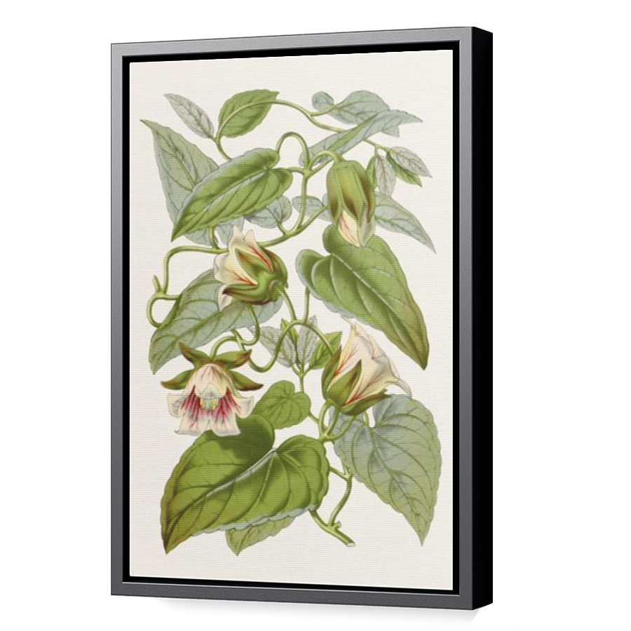 Thumbnail for Canvas - Black Floating Frame
