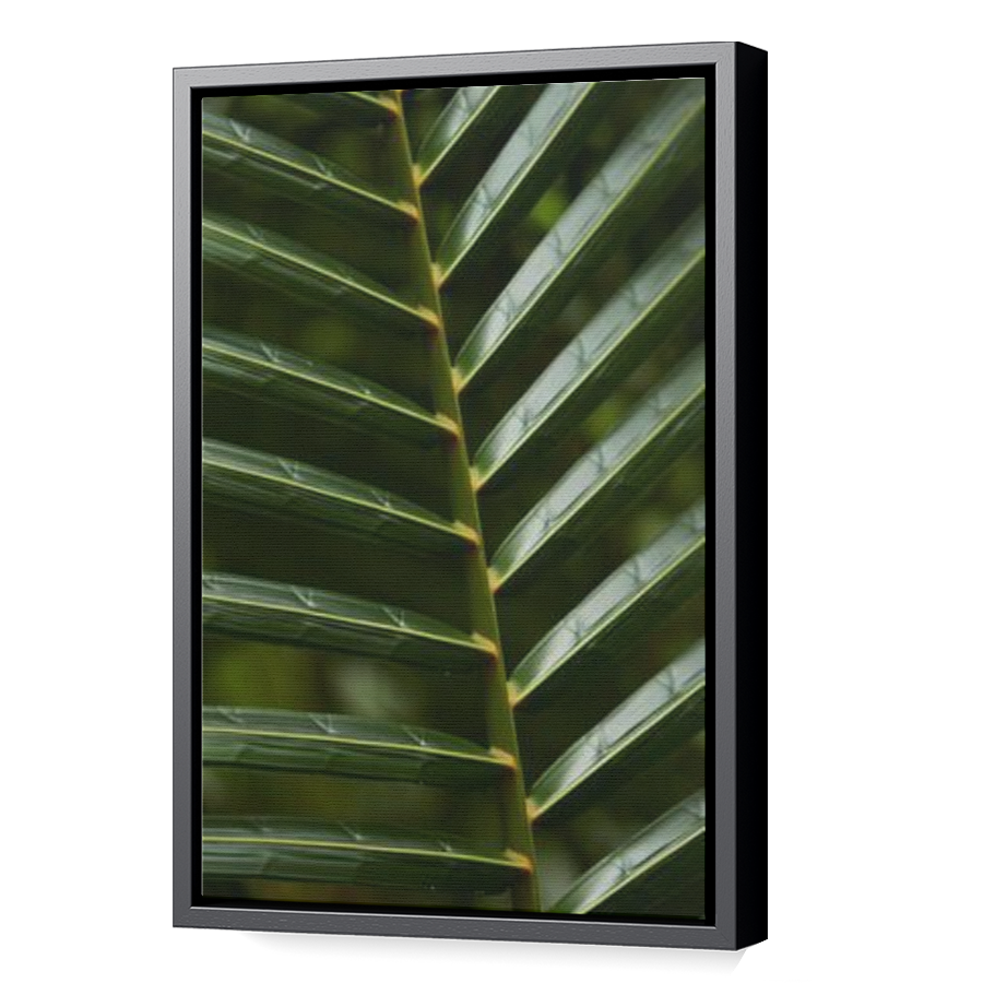Thumbnail for Canvas - Black Floating Frame