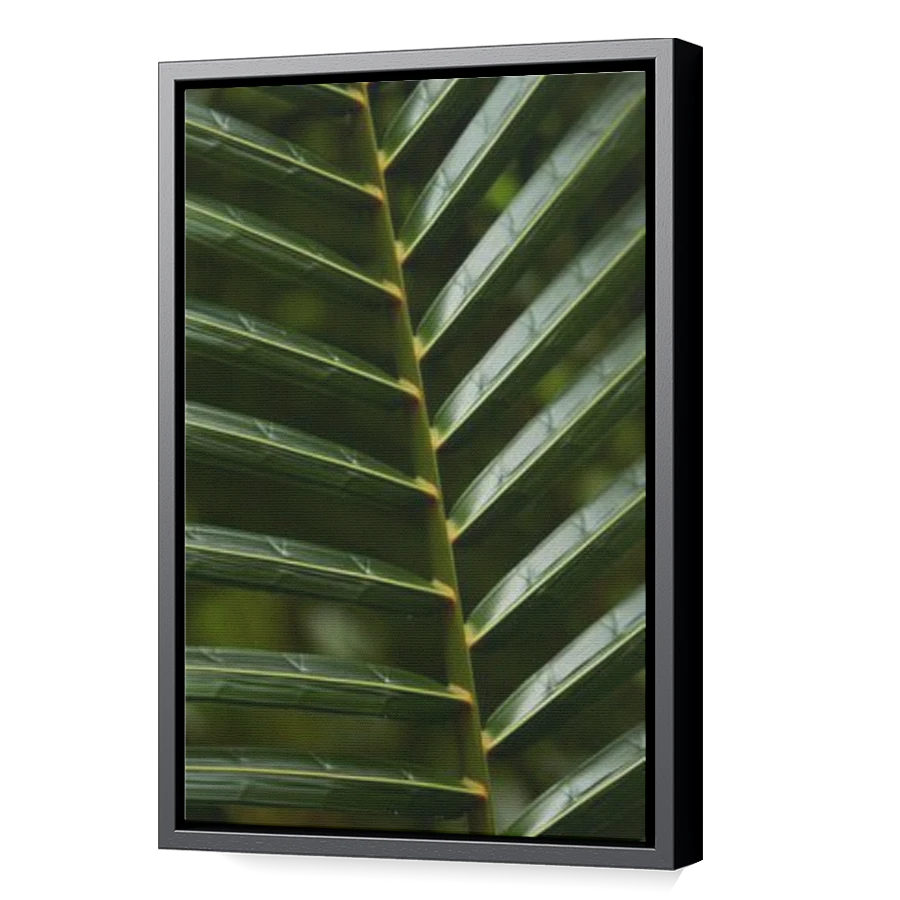 Thumbnail for Canvas - Black Floating Frame