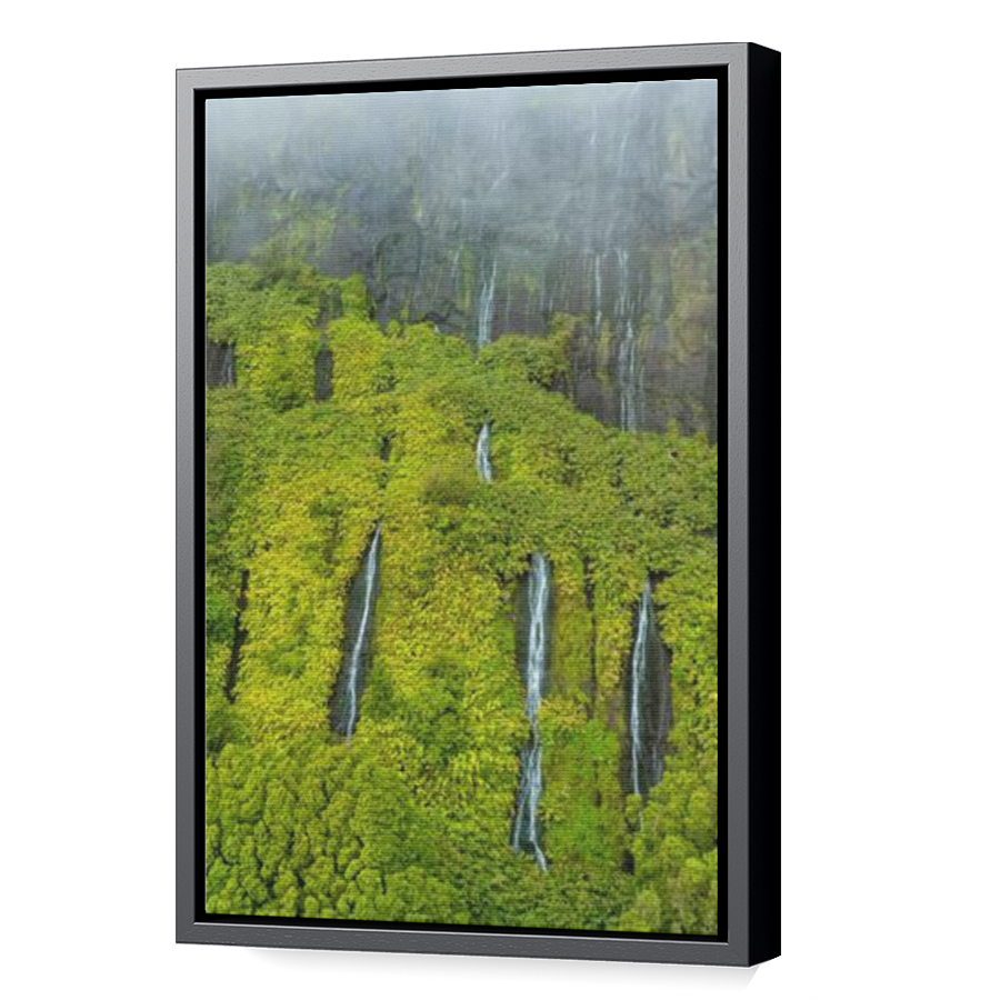 Thumbnail for Canvas - Black Floating Frame