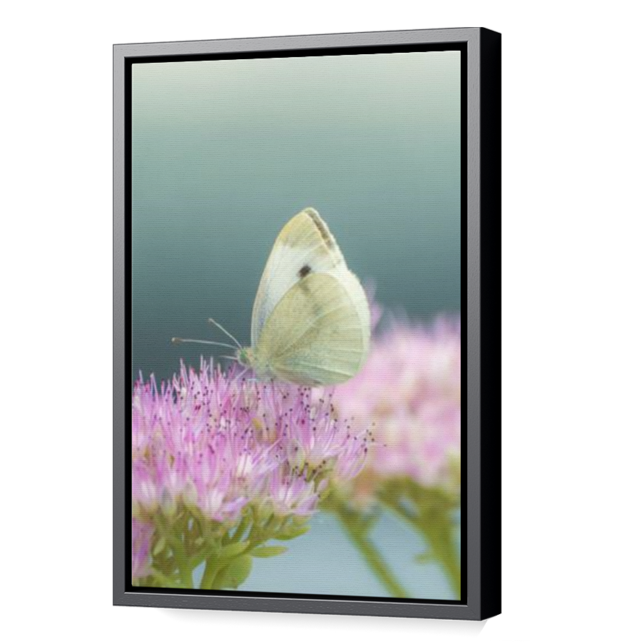 Thumbnail for Canvas - Black Floating Frame