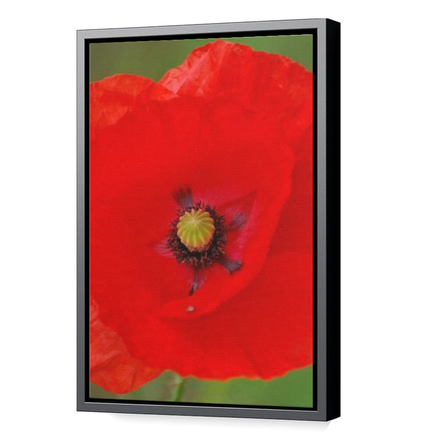 Thumbnail for Canvas - Black Floating Frame