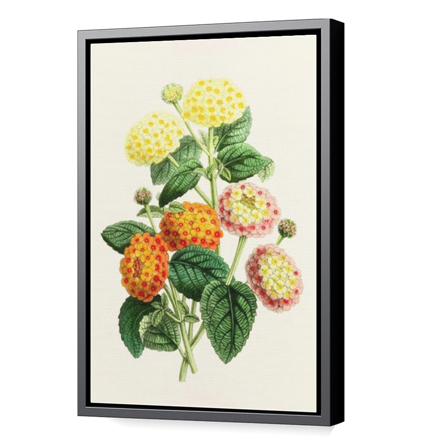 Thumbnail for Canvas - Black Floating Frame