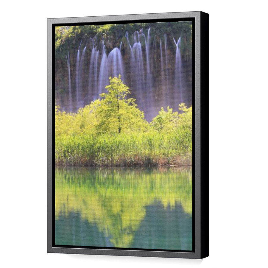 Thumbnail for Canvas - Black Floating Frame