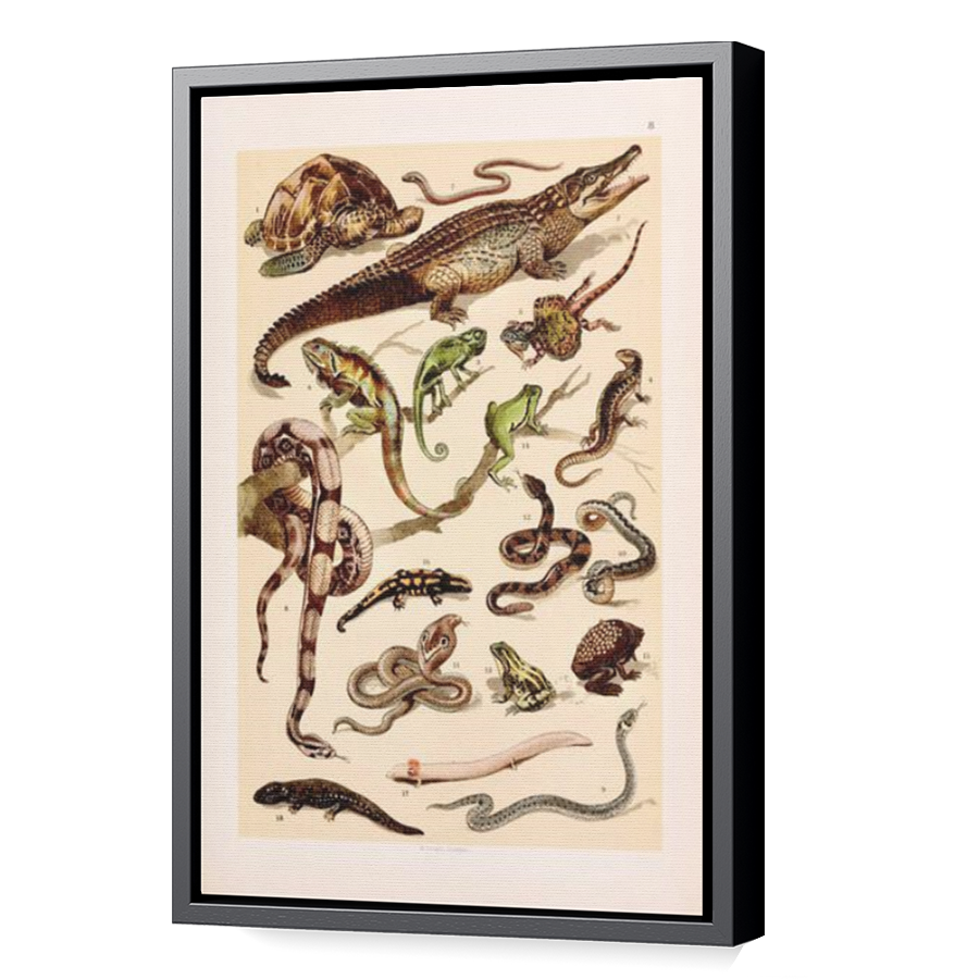 Thumbnail for Canvas - Black Floating Frame