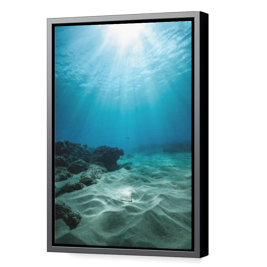 Thumbnail for Canvas - Black Floating Frame