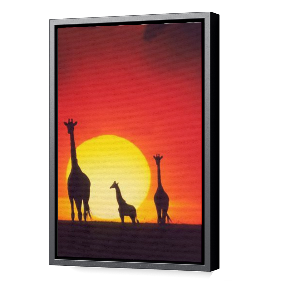 Thumbnail for Canvas - Black Floating Frame