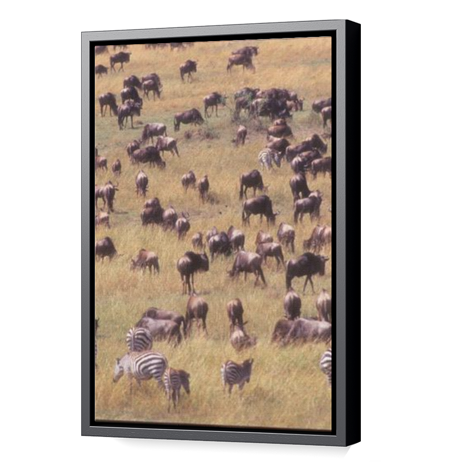Thumbnail for Canvas - Black Floating Frame