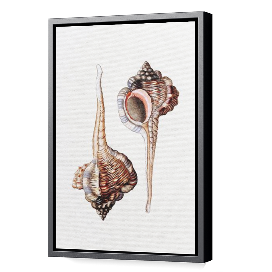 Thumbnail for Canvas - Black Floating Frame