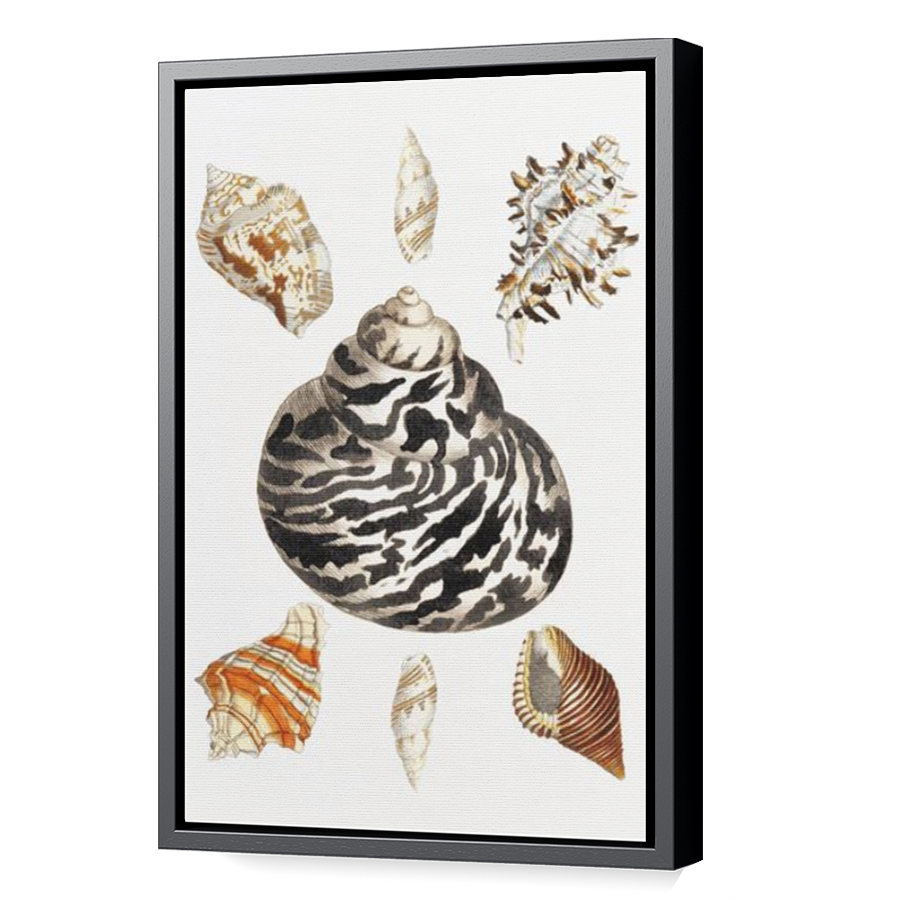 Thumbnail for Canvas - Black Floating Frame