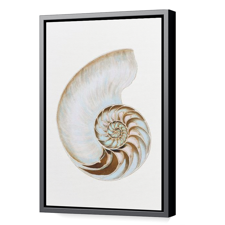 Thumbnail for Canvas - Black Floating Frame
