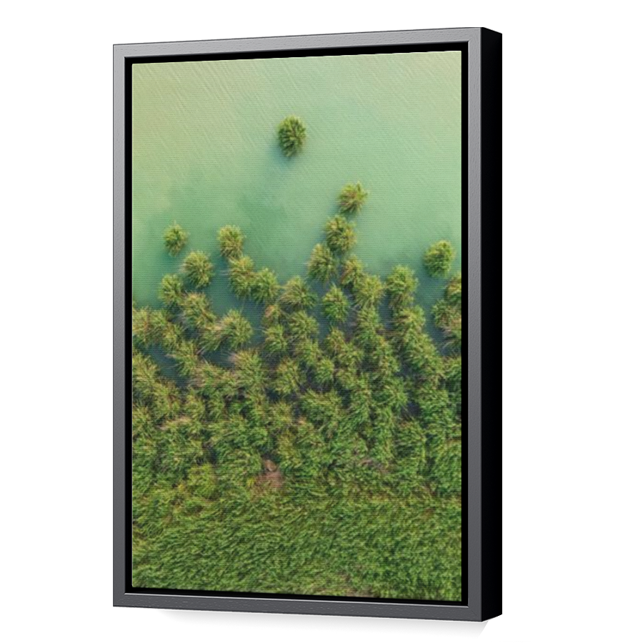 Thumbnail for Canvas - Black Floating Frame