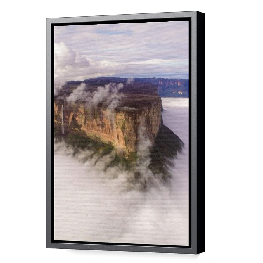 Thumbnail for Canvas - Black Floating Frame