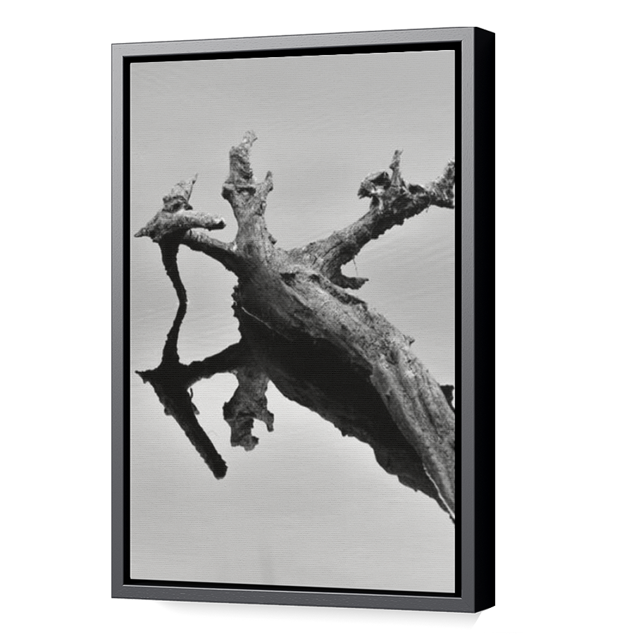 Thumbnail for Canvas - Black Floating Frame