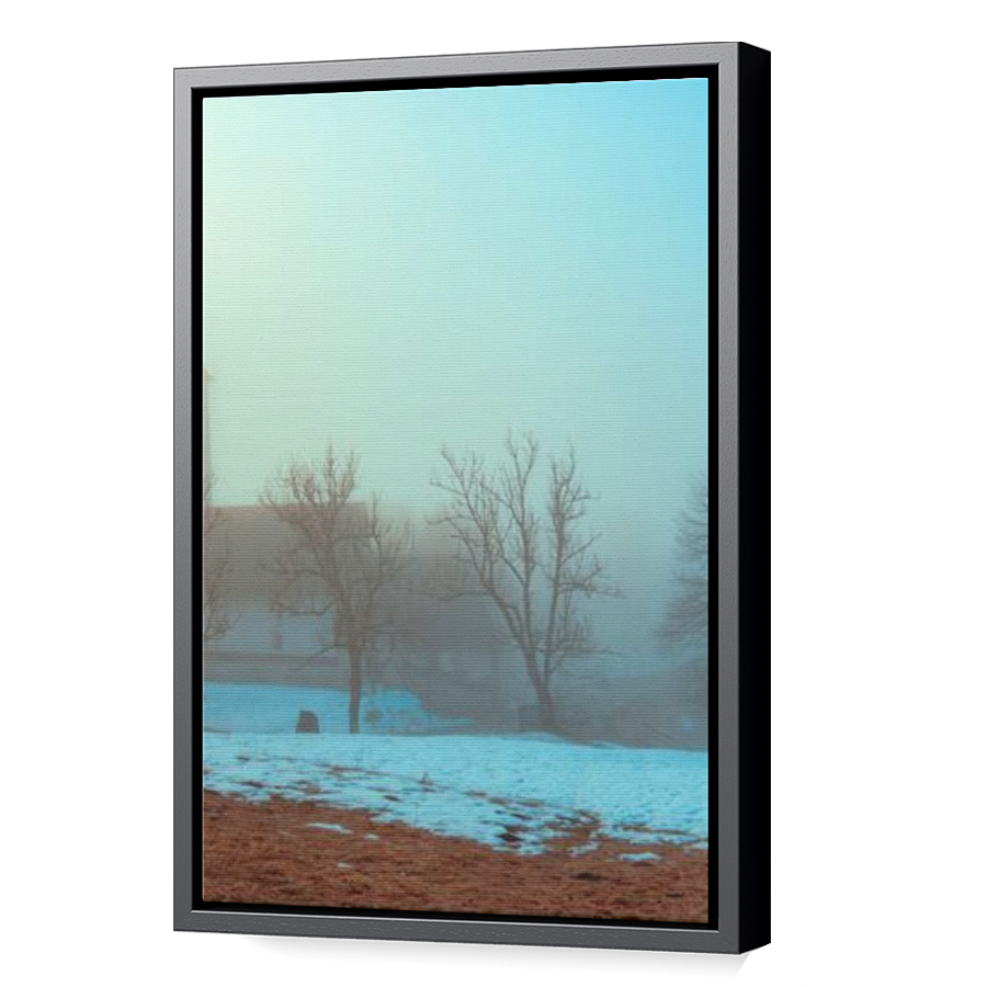 Thumbnail for Canvas - Black Floating Frame