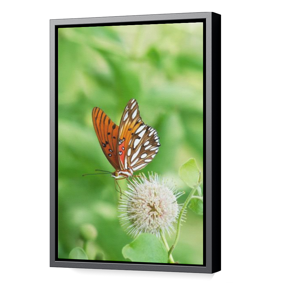 Thumbnail for Canvas - Black Floating Frame