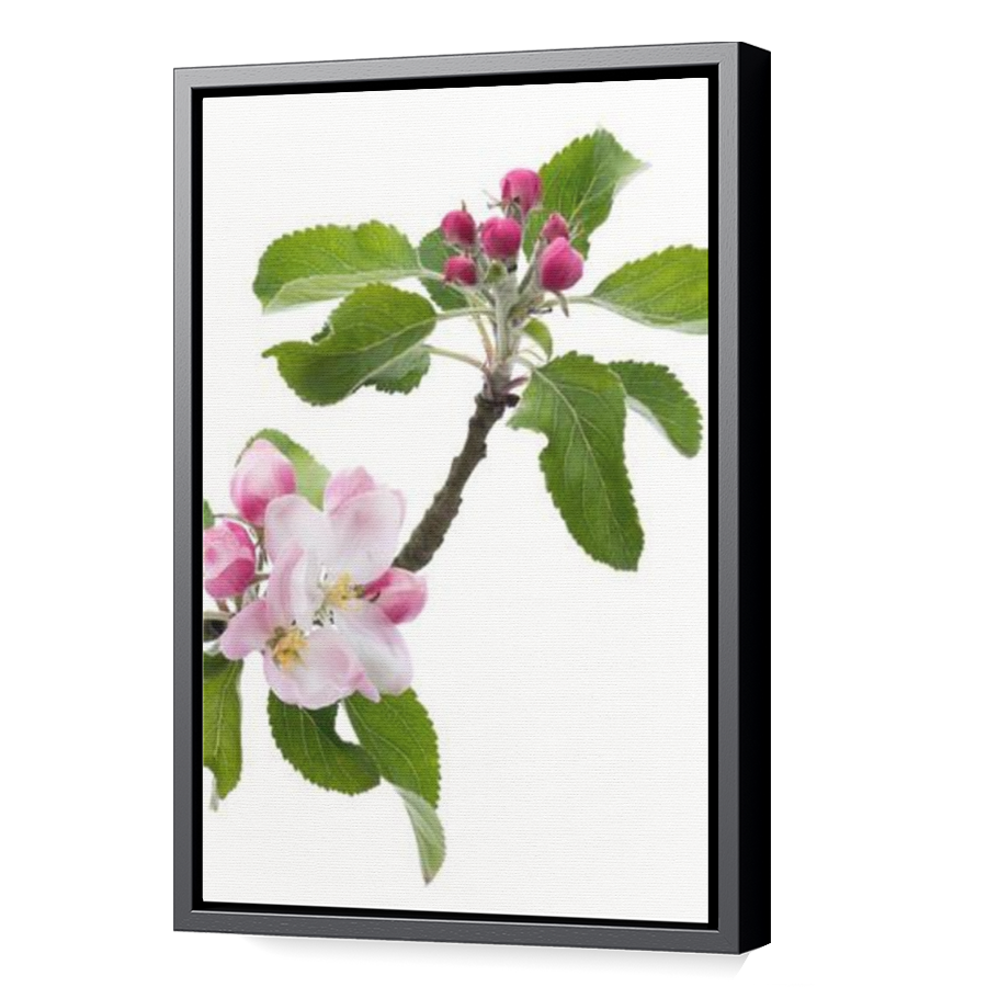 Thumbnail for Canvas - Black Floating Frame