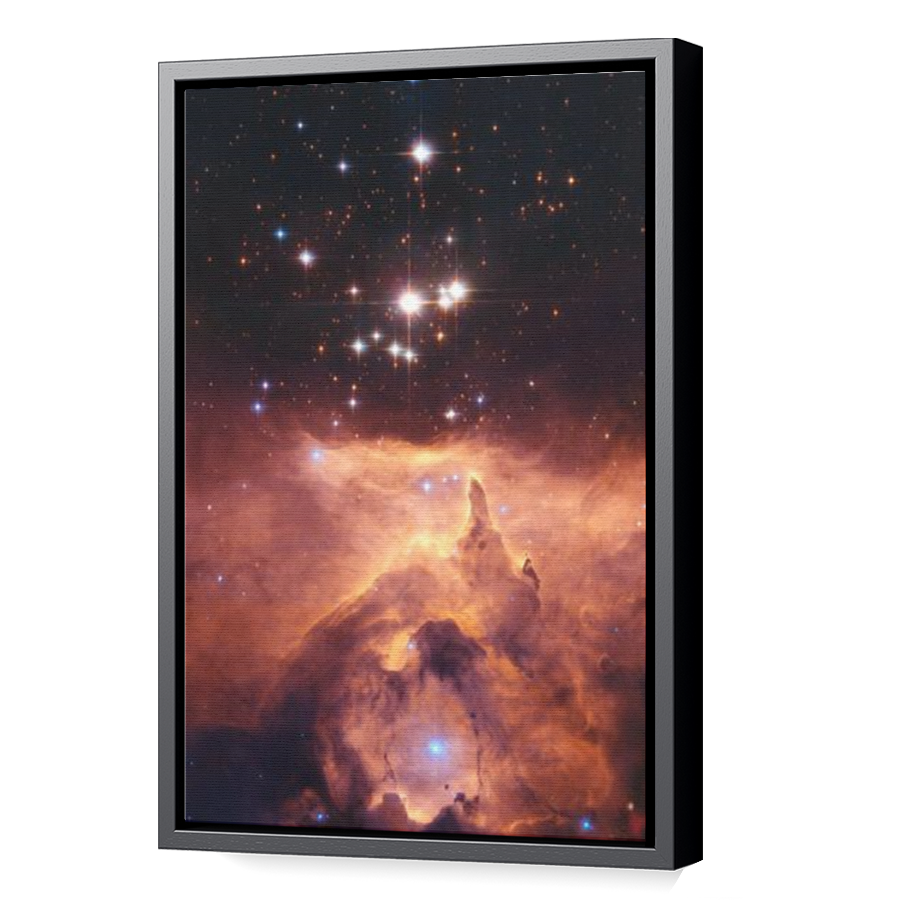 Thumbnail for Canvas - Black Floating Frame