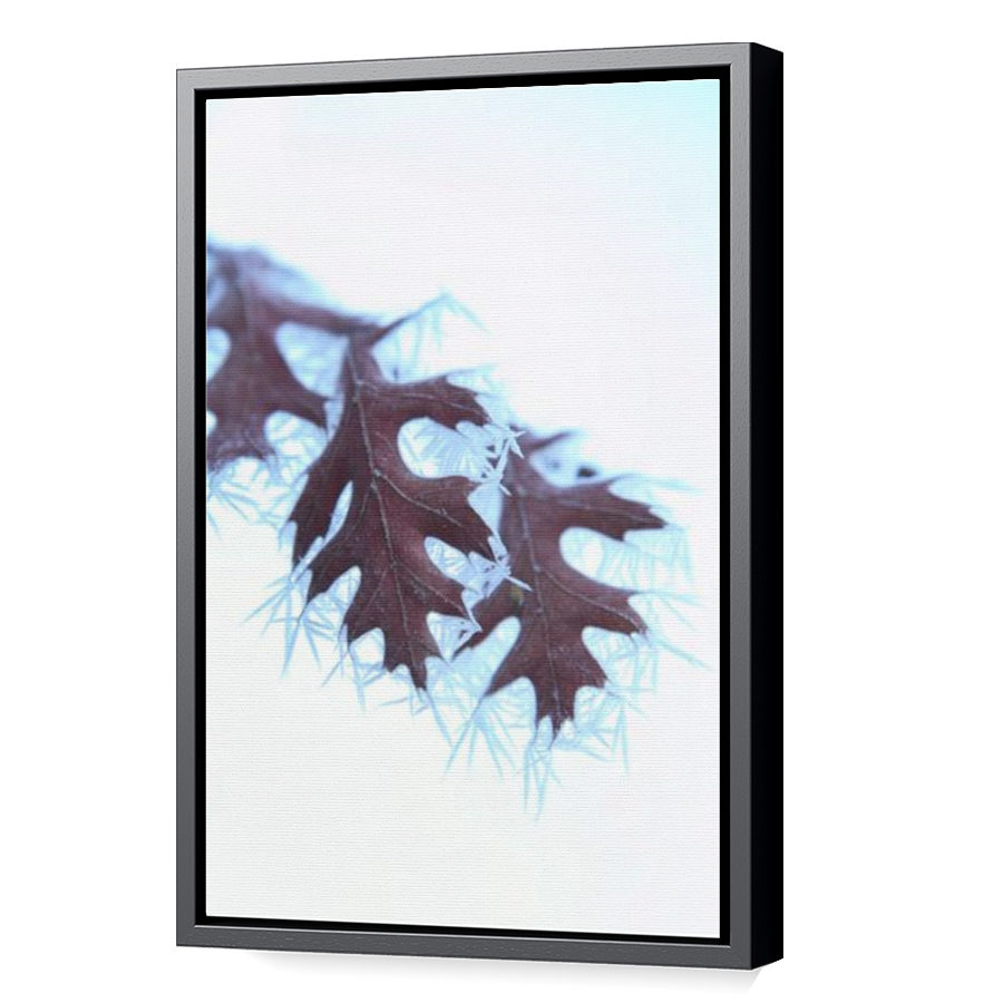Thumbnail for Canvas - Black Floating Frame
