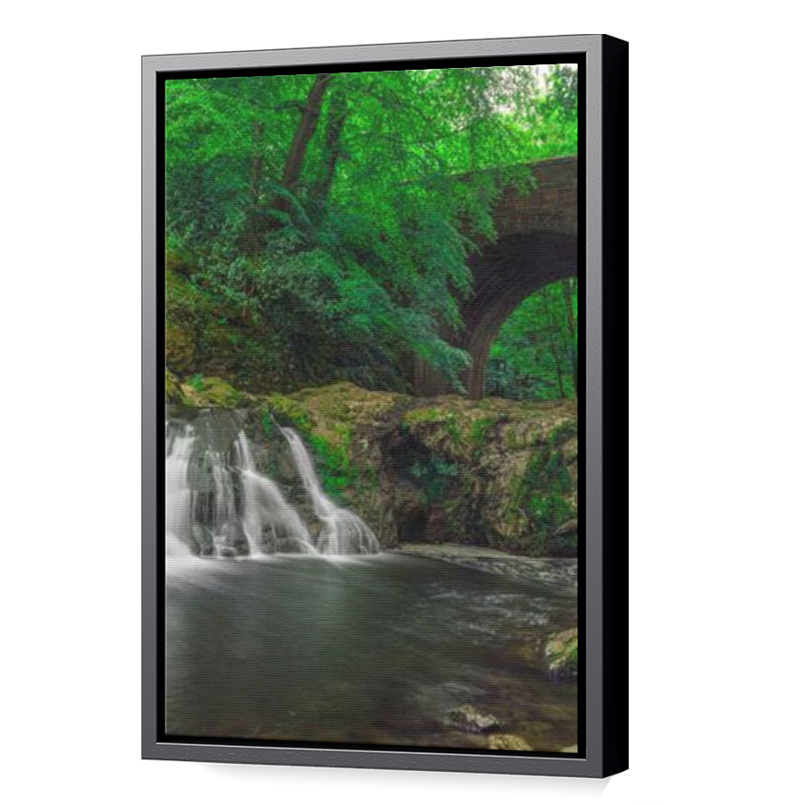 Thumbnail for Canvas - Black Floating Frame