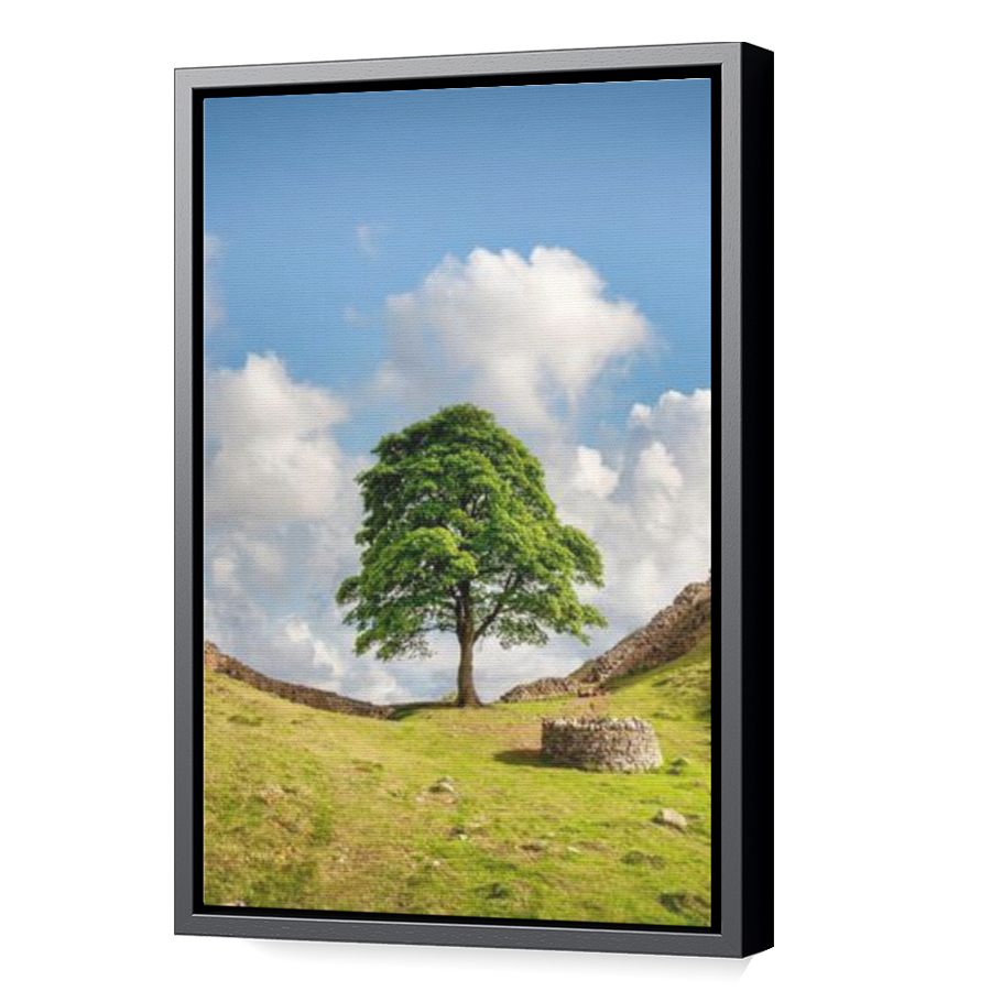 Thumbnail for Canvas - Black Floating Frame