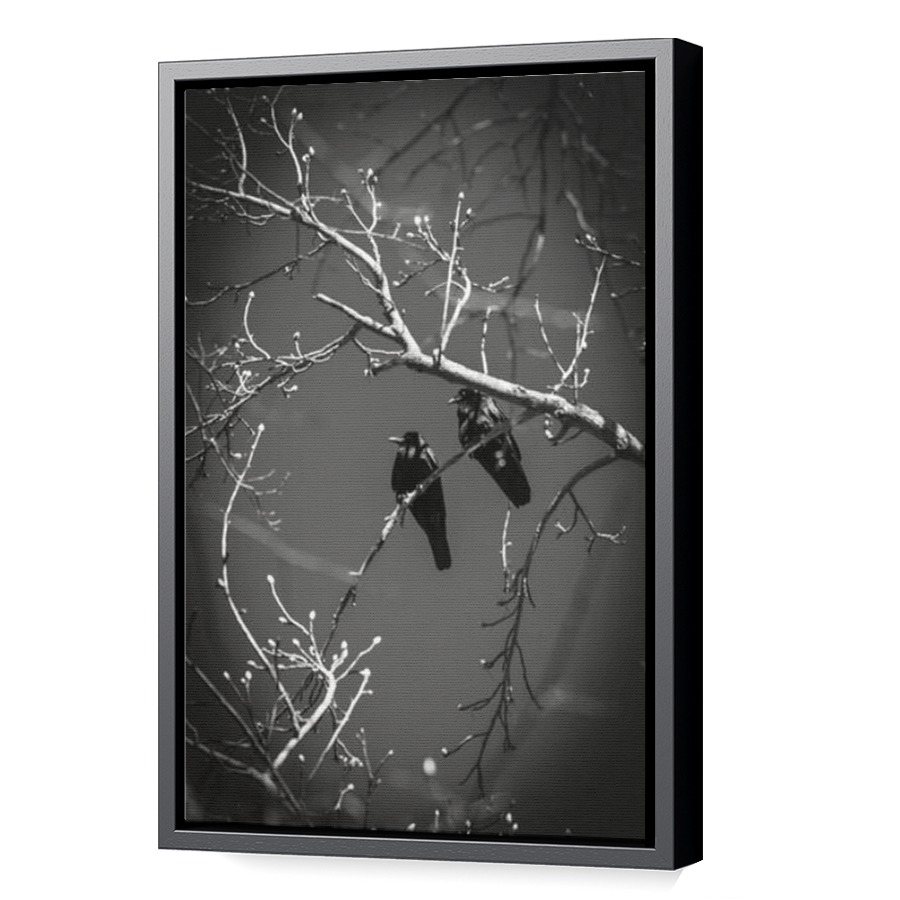 Thumbnail for Canvas - Black Floating Frame