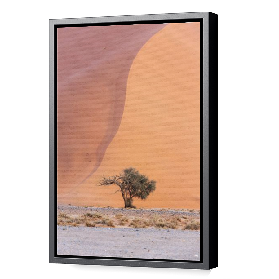 Thumbnail for Canvas - Black Floating Frame