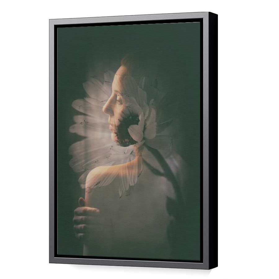 Thumbnail for Canvas - Black Floating Frame
