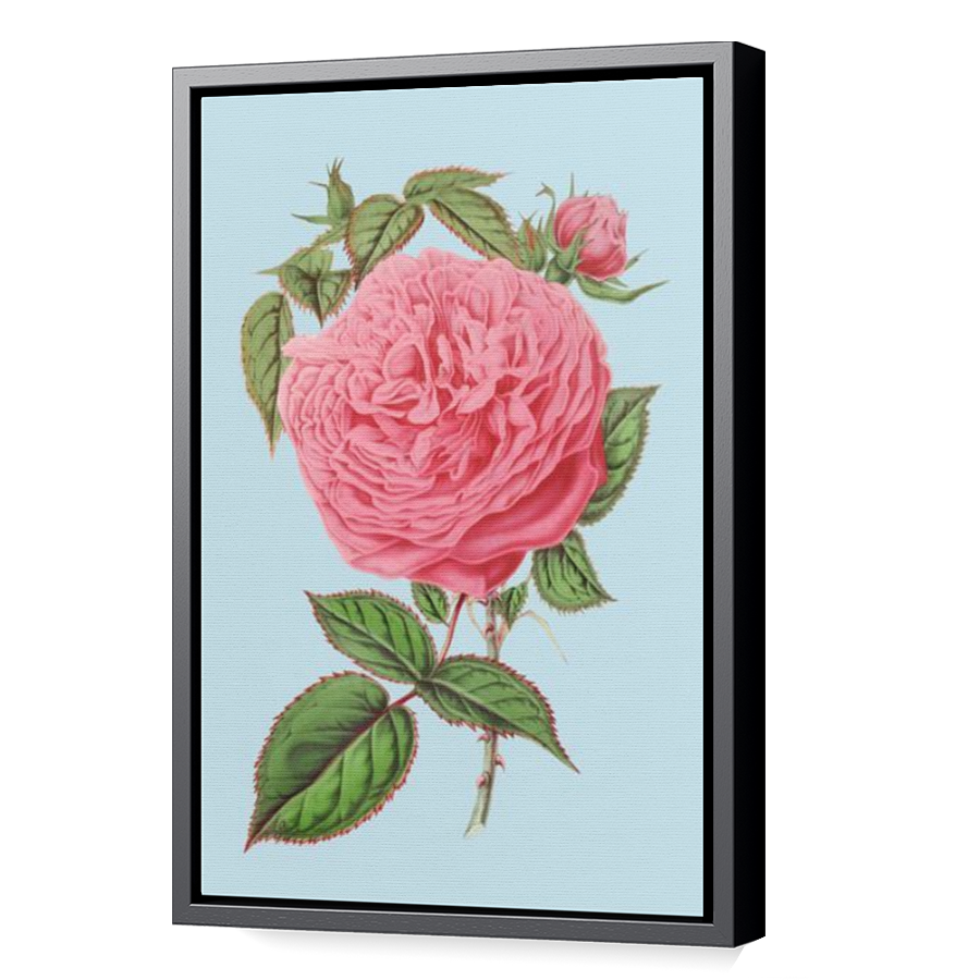 Thumbnail for Canvas - Black Floating Frame