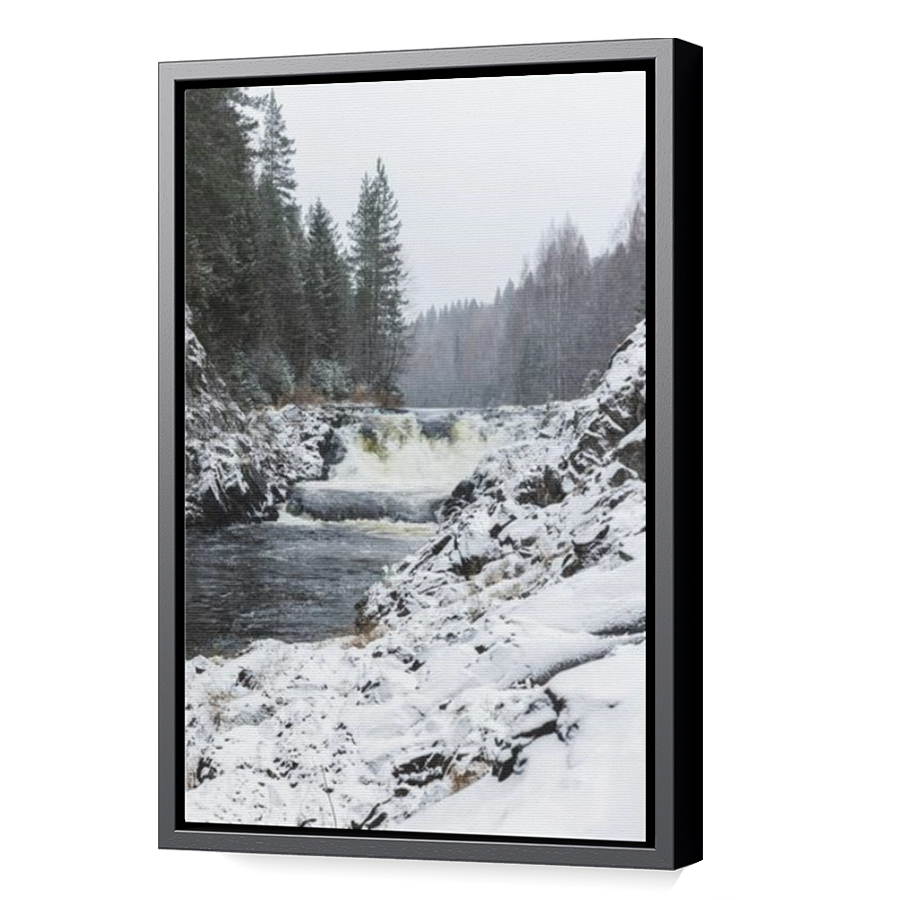 Thumbnail for Canvas - Black Floating Frame