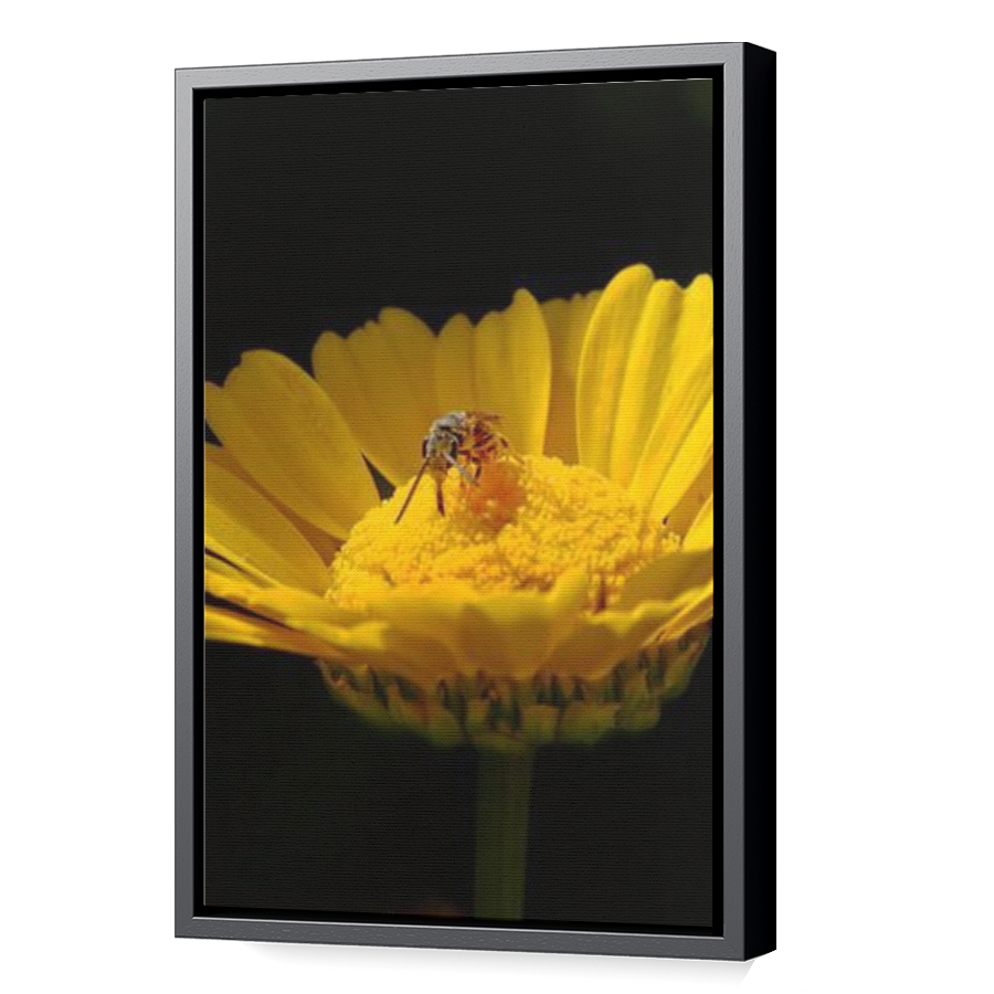 Thumbnail for Canvas - Black Floating Frame