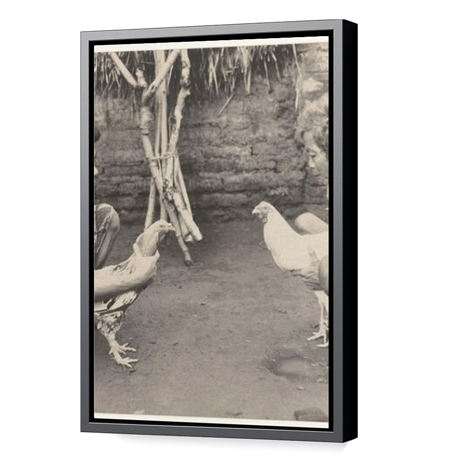 Thumbnail for Canvas - Black Floating Frame