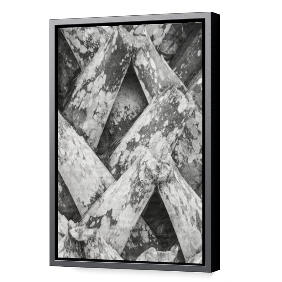 Thumbnail for Canvas - Black Floating Frame