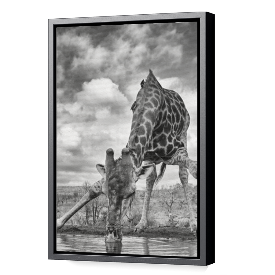 Thumbnail for Canvas - Black Floating Frame